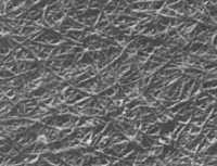 Abb. 10: Netzwerk aus Cellulosefasern [Jäck et al. 1988]