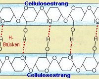 Abb. 8: Molekularstruktur der Cellulose [Blume et al. 1996]