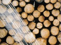 Abb.1: Baumwolle und Holz als Rohstoffe [Blume et al. 1996]