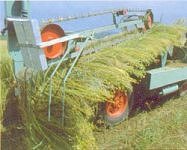 Abb.2: Flachsblüte und -ernte [Blume et al. 1996]
