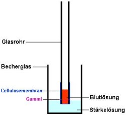 Versuchsaufbau