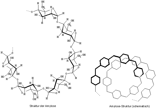 Struktur der Amylose