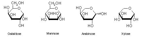 Hemicellulosen