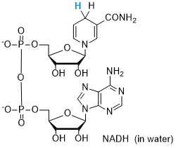 image of molecule