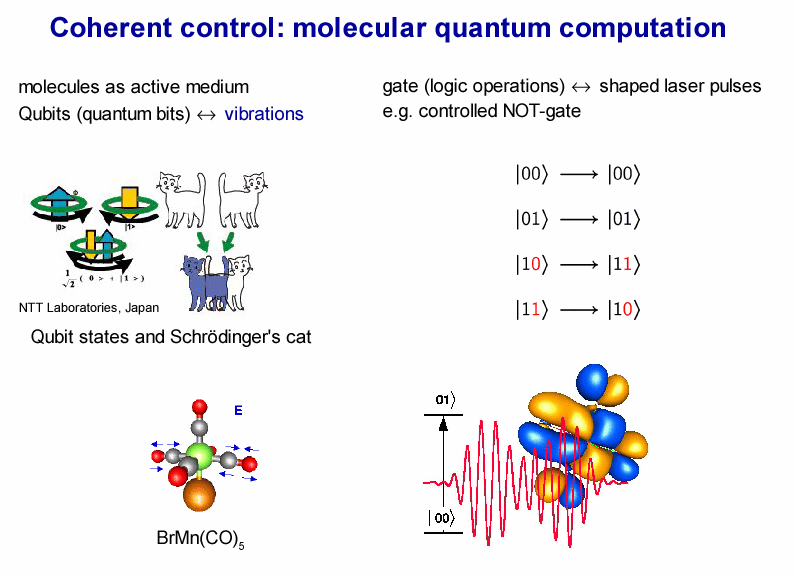 quantum computing