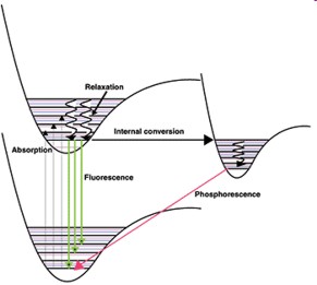 Fluorescence